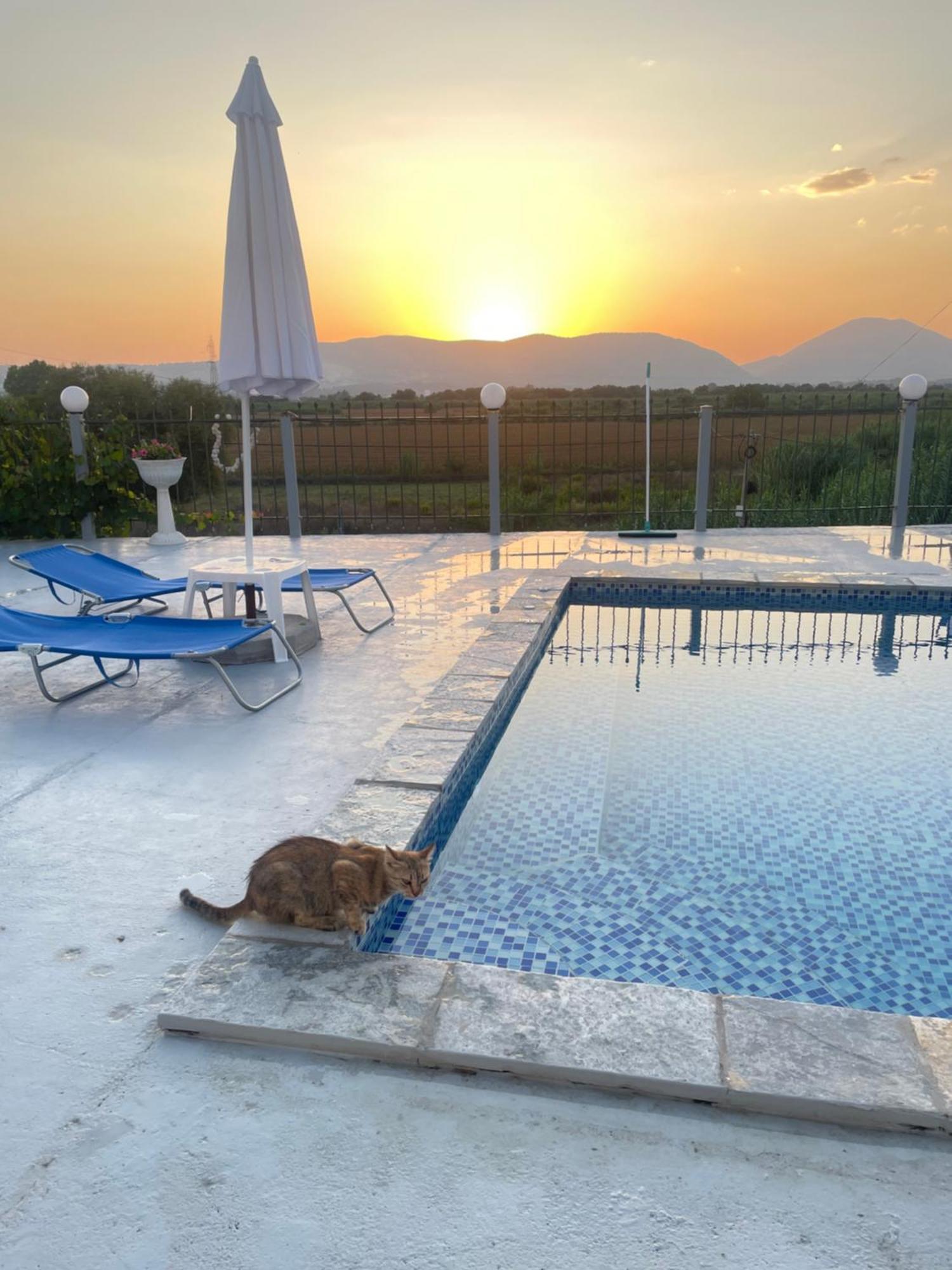 Anastasias Apartments Sarandë Eksteriør billede